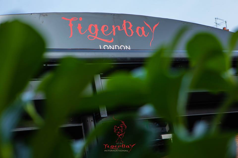 Tiger Bay Hangerlane — photo 11
